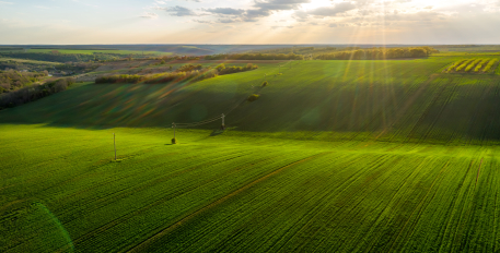 Agriculture: data in the spotlight