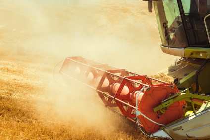 Caractérisation des systèmes de culture et itinéraires techniques mis en oeuvre par les agriculteurs dans les territoires : description des trajectoires d’adaptation, évaluation de leurs performances, analyse des facteurs explicatifs.