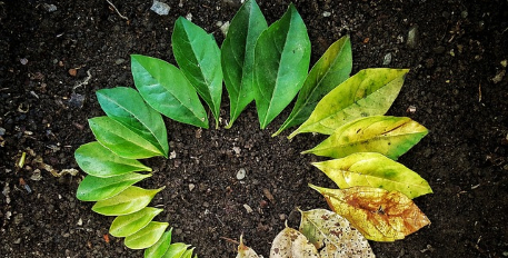 Nouvelle date : colloque CNIS « Mesurer la transition écologique »