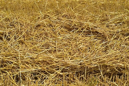 Scénario de transformation et de décarbonation de l’agriculture française à 2050 (suite SNBC)