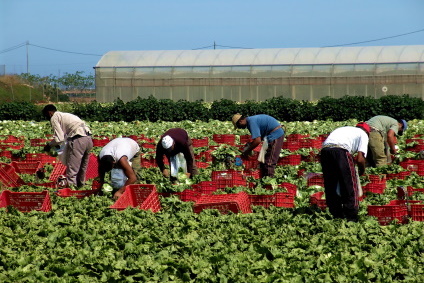 L’intégration de migrants au marché du travail français : l’importance des facteurs géographiques 