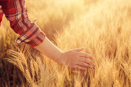 Développement des pratiques écologiques dans l’agriculture française