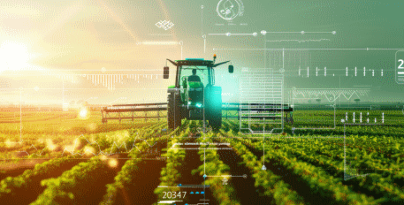 Presentation of data from the Réseau d'Information Comptable Agricole (RICA)