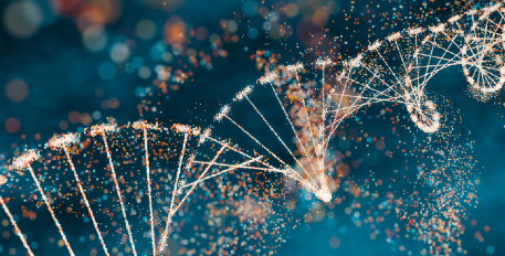 uthorization of the 'Prométhée' SNDS health data warehouse